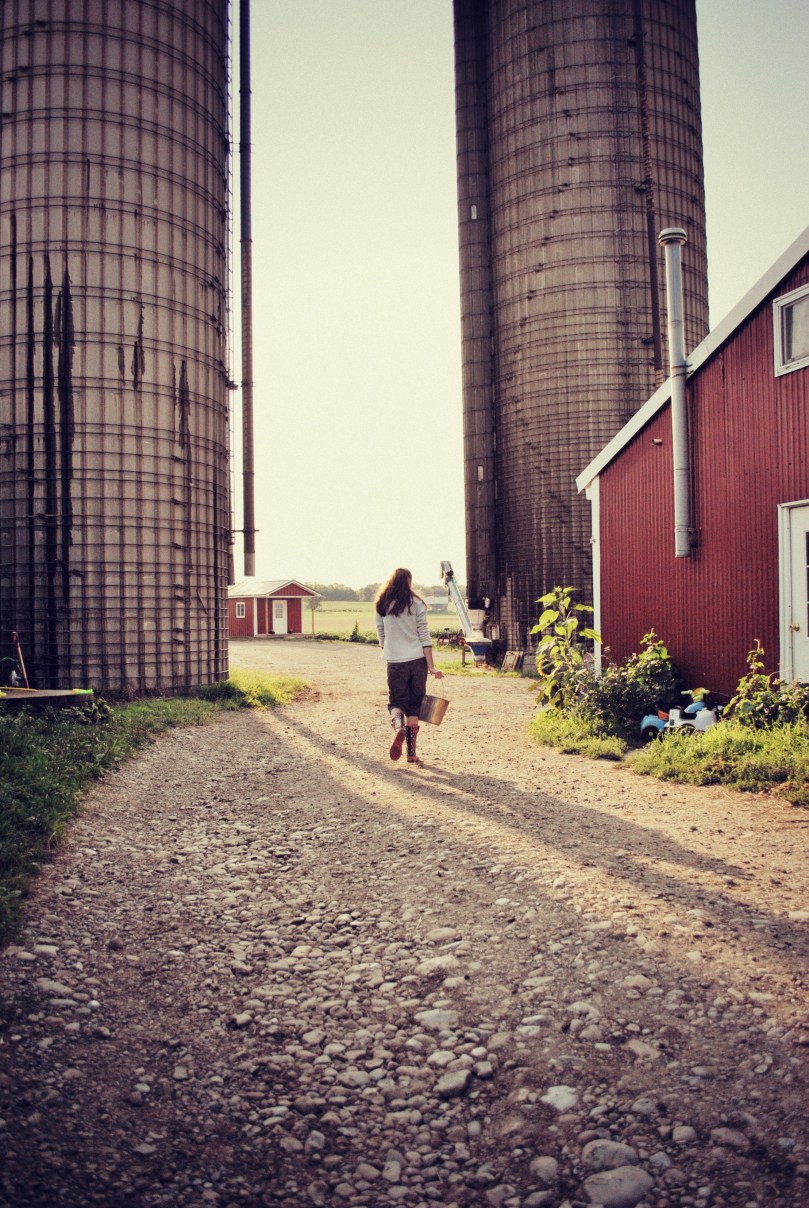 (photo courtesy of Emily)