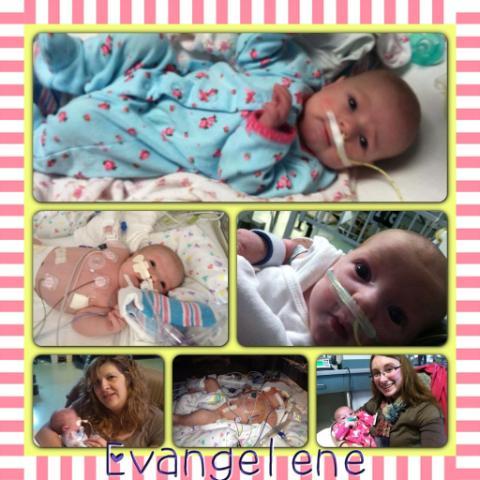 picture courtesy of Aunt Abby