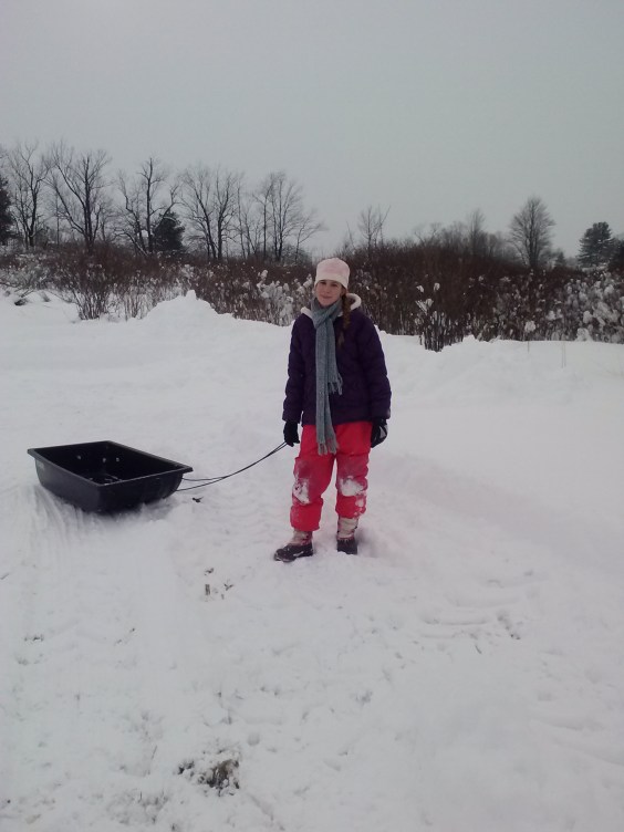 Addie sledding