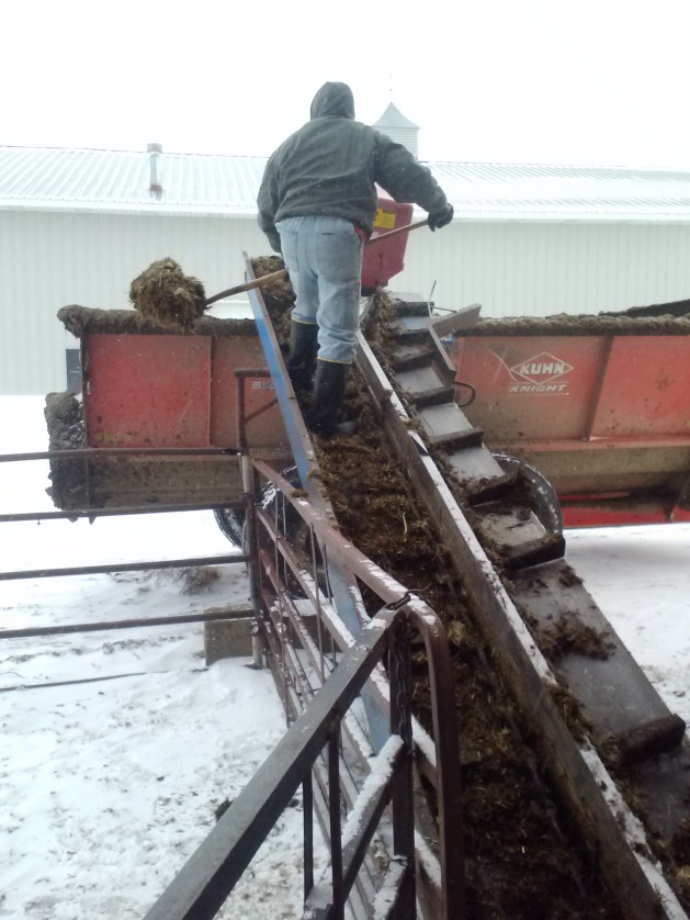 Dad climbing up the chute