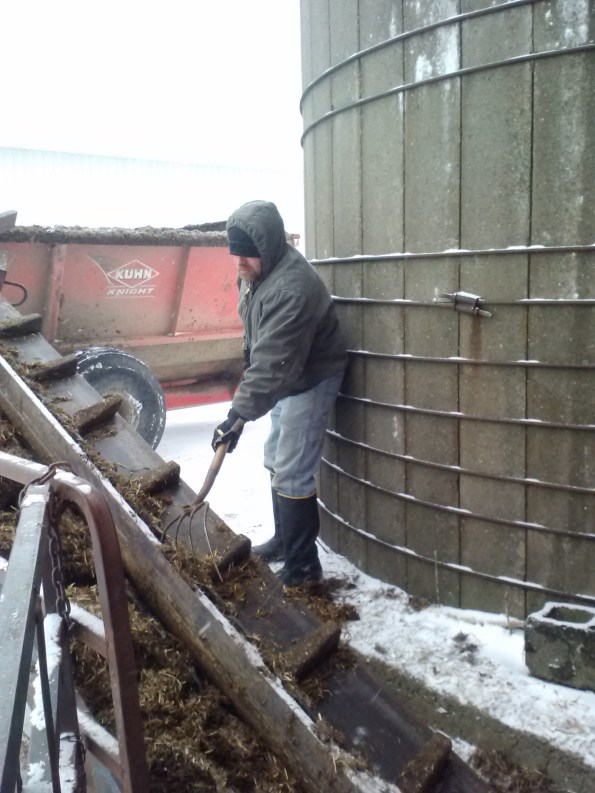 You can't tell from the pictures, but it's actually snowing and blowing pretty hard