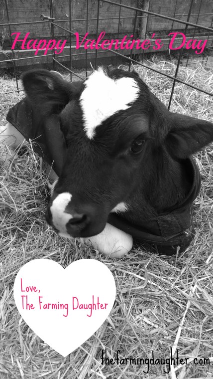 Happy Valentine's Day! Love, The Farming Daughter. https://thefarmingdaughter.com/