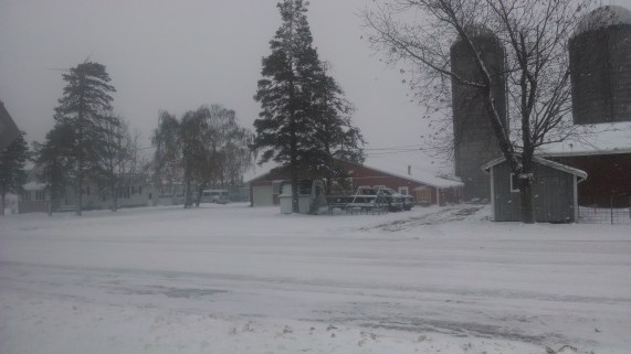 November Snow Storm - Winter on the Farm (https://thefarmingdaughter.com/2015/02/26/winter-on-the-farm)