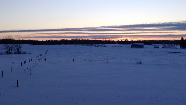 Winter Sunrise Winter on the Farm (https://thefarmingdaughter.com/2015/02/26/winter-on-the-farm)