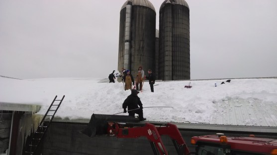 Shoveling Show - Winter on the Farm (https://thefarmingdaughter.com/2015/02/26/winter-on-the-farm)