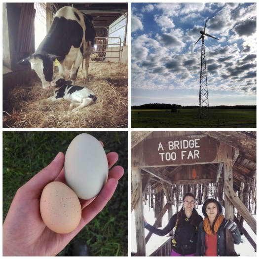 Insta-Girl (https://thefarmingdaughter.com/2015/05/26/insta-girl/)