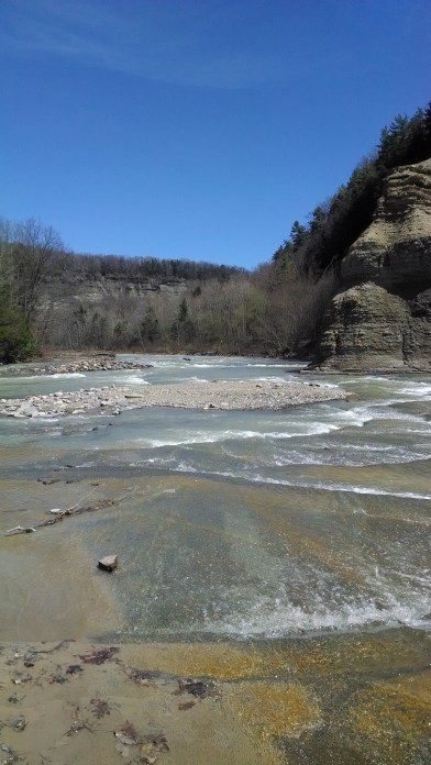 Valentine Flats: Cattaraugus Creek (https://thefarmingdaughter.com/2015/06/13/valentine-flats/)