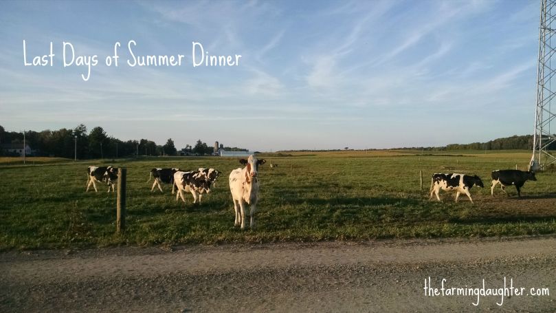 The Farming Daughter: Last Days of Summer Dinner (https://thefarmingdaughter.com/2015/09/15/last-days-of-summer-dinner/) 5