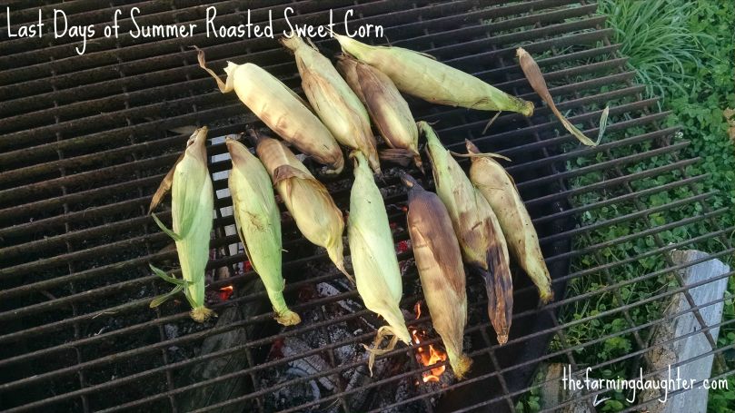 The Farming Daughter: Last Days of Summer Dinner ( https://thefarmingdaughter.com/2015/09/15/last-days-of-summer-dinner/) 2