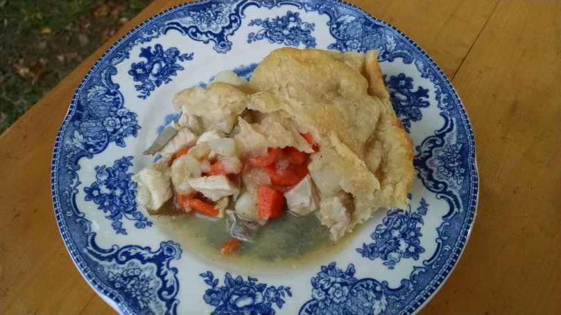 The Farming Daughter: Angelica Civil War Reenactment New Blog Post (https://thefarmingdaughter.com/2015/09/28/angelica-civil-war-reenactment/) 7