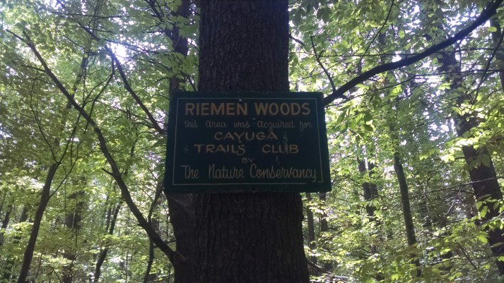 The Farming Daughter: Full Circle https://thefarmingdaughter.com/2015/09/12/full-circle/ 7