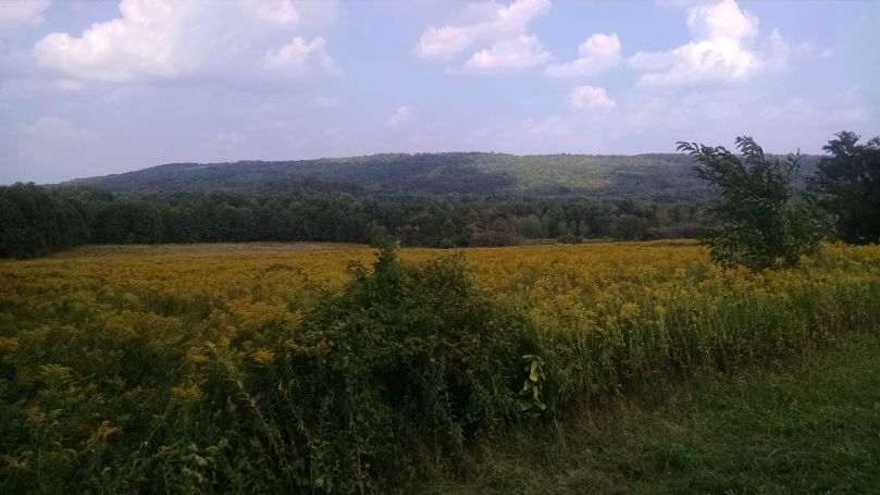 The Farming Daughter: Full Circle  https://thefarmingdaughter.com/2015/09/12/full-circle/ 9