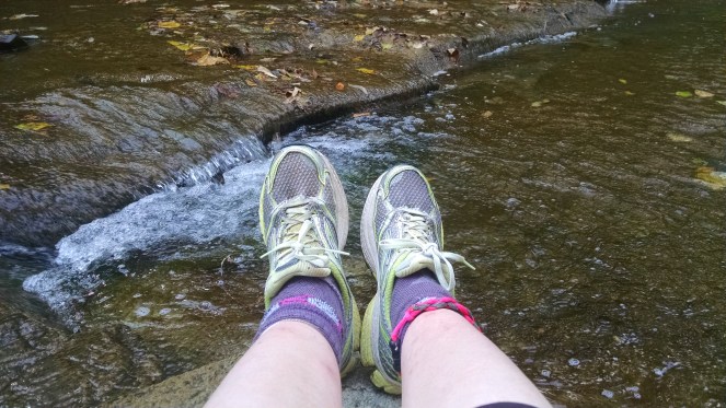 The Farming Daughter: Full Circle https://thefarmingdaughter.com/2015/09/12/full-circle/ 14