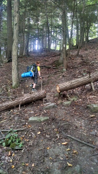 The Farming Daughter: Full Circle https://thefarmingdaughter.com/2015/09/12/full-circle/ 18