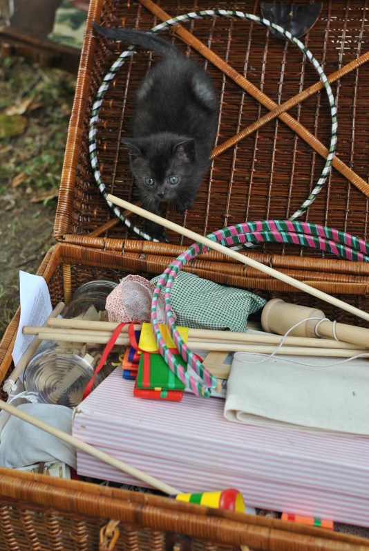 The Farming Daughter: Angelica Civil War Reenactment New Blog Post (https://thefarmingdaughter.com/2015/09/28/angelica-civil-war-reenactment/) 4