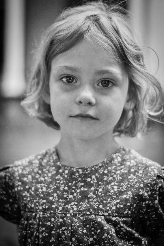 The Farming Daughter: Angelica Civil War Reenactment New Blog Post ( https://thefarmingdaughter.com/2015/09/28/angelica-civil-war-reenactment/) 22