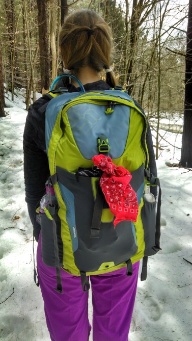 The Farming Daughter: Columbia Vixen 22 Pack Review ( https://thefarmingdaughter.com/2016/01/24/columbia-vixen-22-pack-review/) 8