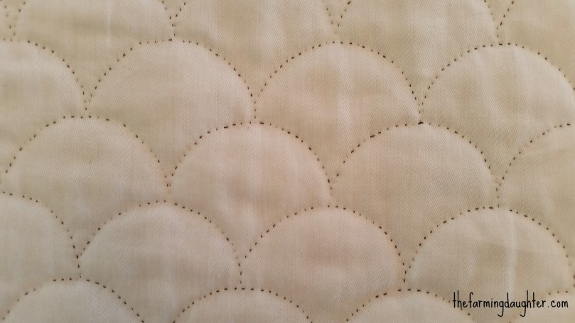 Quilted Petticoat ( https://thefarmingdaughter.com/2016/08/11/quilted-petticoat/) 6